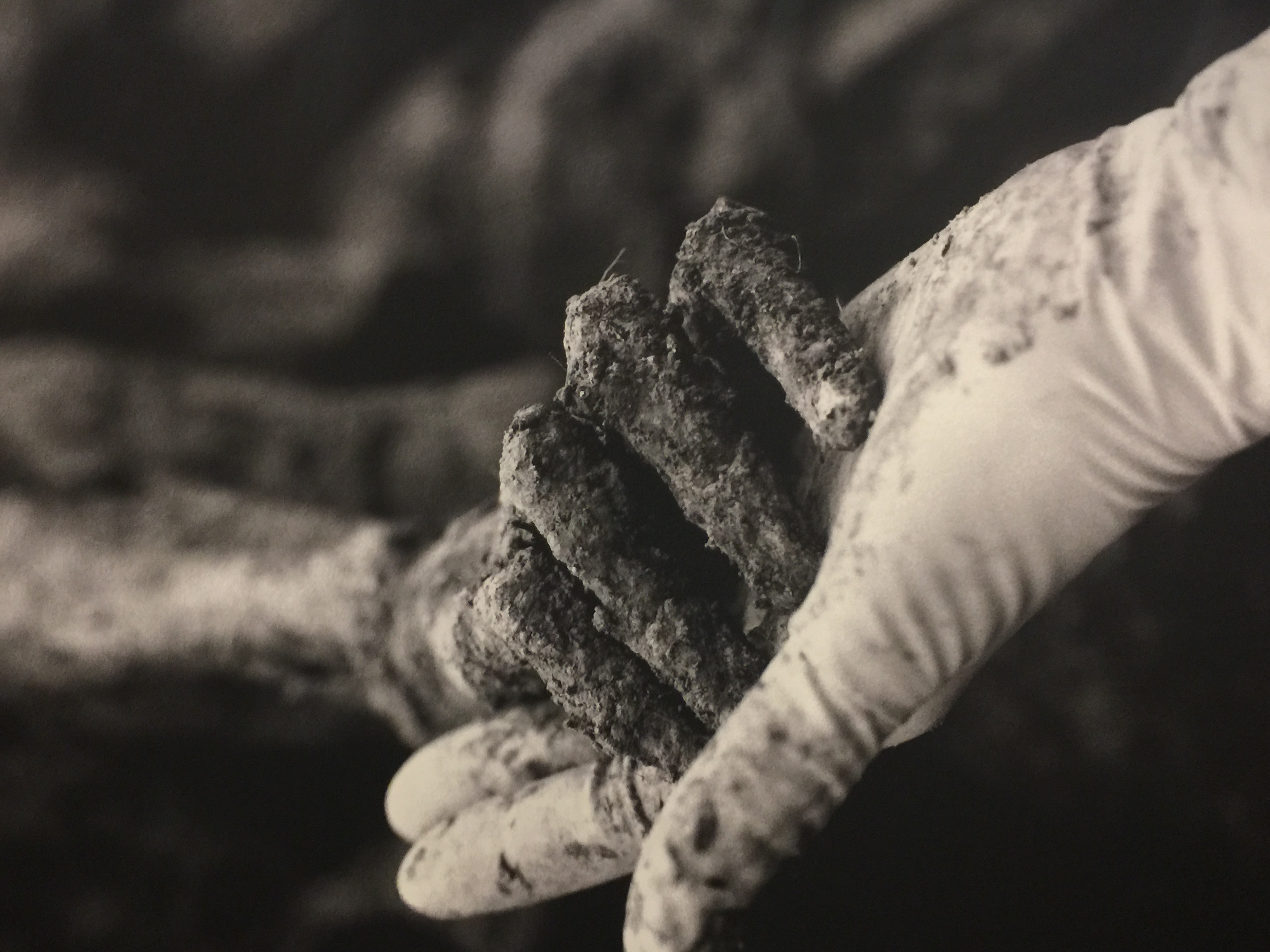 WOMEN’S DELEGATION TO SREBRENICA – Day 4